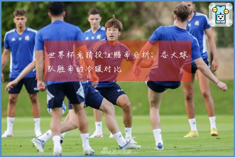 世界杯竞猜投注赔率分析：各大球队胜率的冷暖对比