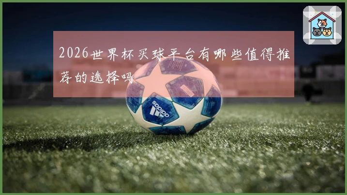 2026世界杯买球平台有哪些值得推荐的选择吗