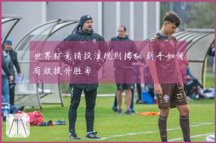 世界杯竞猜投注规则揭秘 新手如何有效提升胜率
