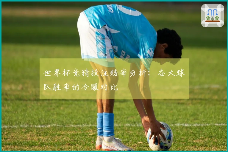 世界杯竞猜投注赔率分析：各大球队胜率的冷暖对比