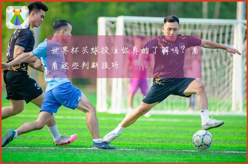世界杯买球投注你真的了解吗？看看这些判断技巧