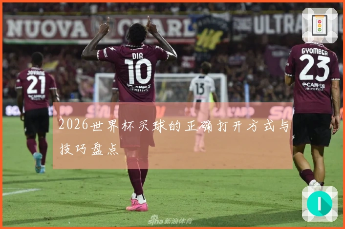 2026世界杯买球的正确打开方式与技巧盘点