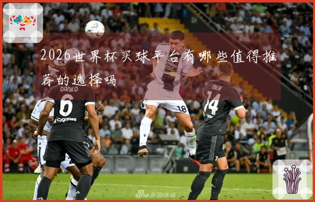 2026世界杯买球平台有哪些值得推荐的选择吗