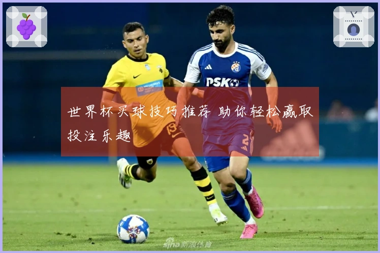 世界杯买球技巧推荐 助你轻松赢取投注乐趣